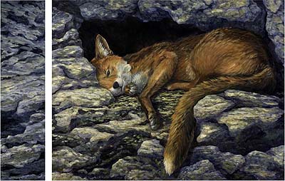 Fuchs